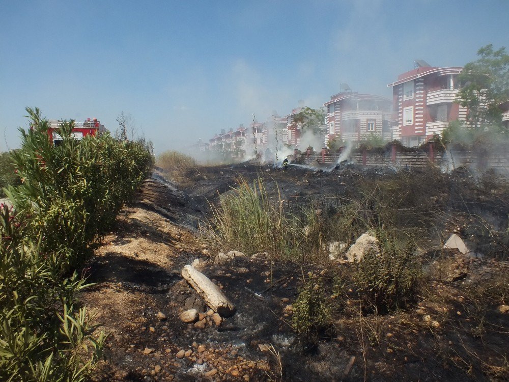 Antalya’da Villa Tipi Evlerin Bulunduğu Tatil Bölgesinde Sazlık Yangını