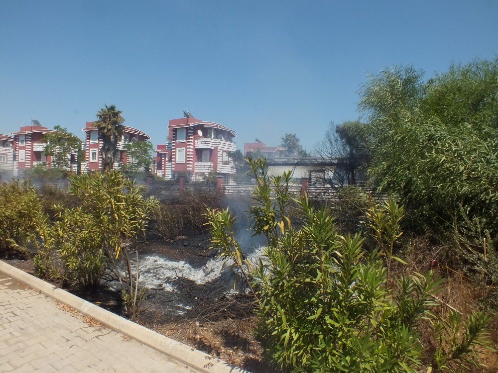 Antalya’da Villa Tipi Evlerin Bulunduğu Tatil Bölgesinde Sazlık Yangını