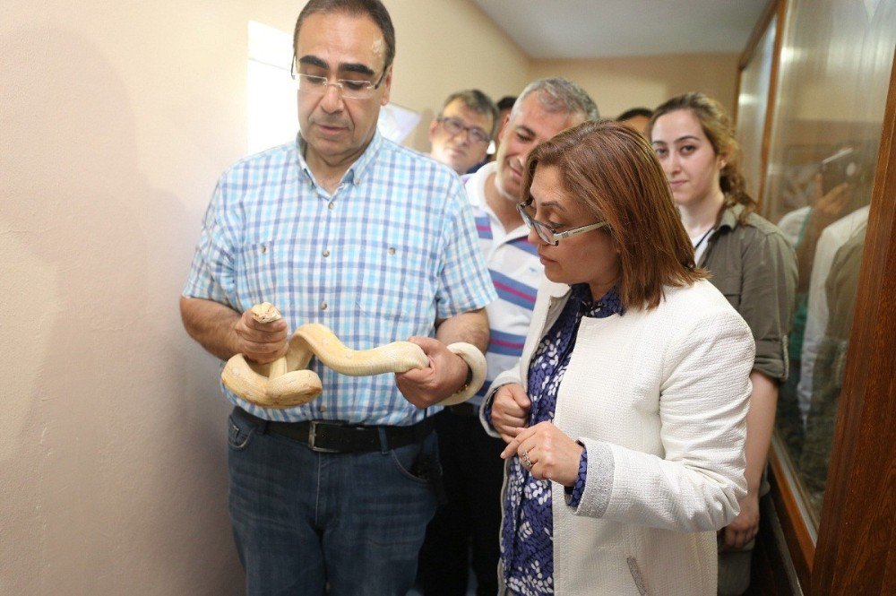 Şahin, Hayvanat Bahçesinde İncelemelerde Bulundu