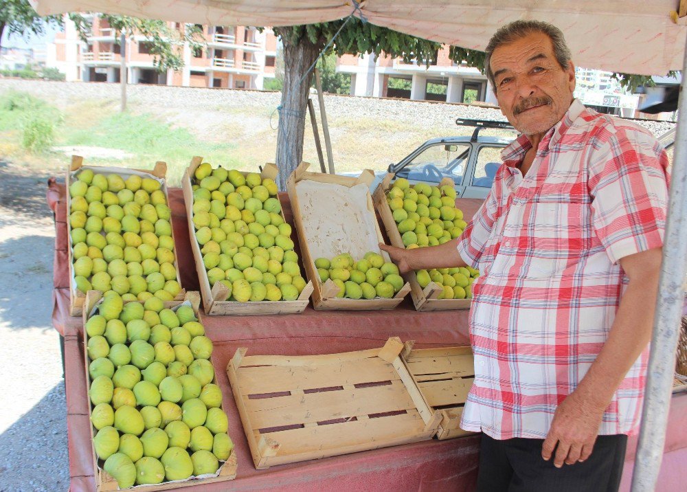 Aydın İnciri Tezgahlarda Yerini Aldı