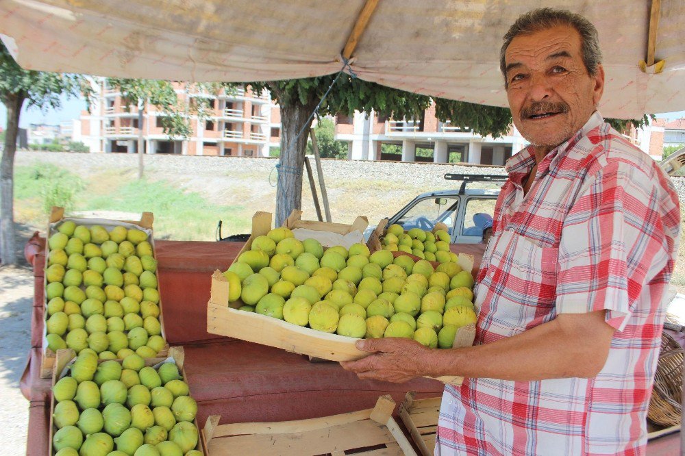 Aydın İnciri Tezgahlarda Yerini Aldı