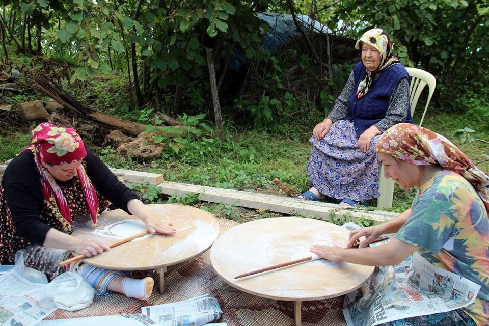 Fatsa’da Fındık Sezonu Hazırlıkları