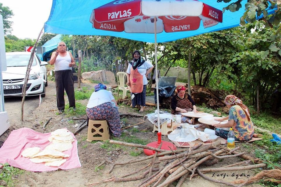 Fatsa’da Fındık Sezonu Hazırlıkları