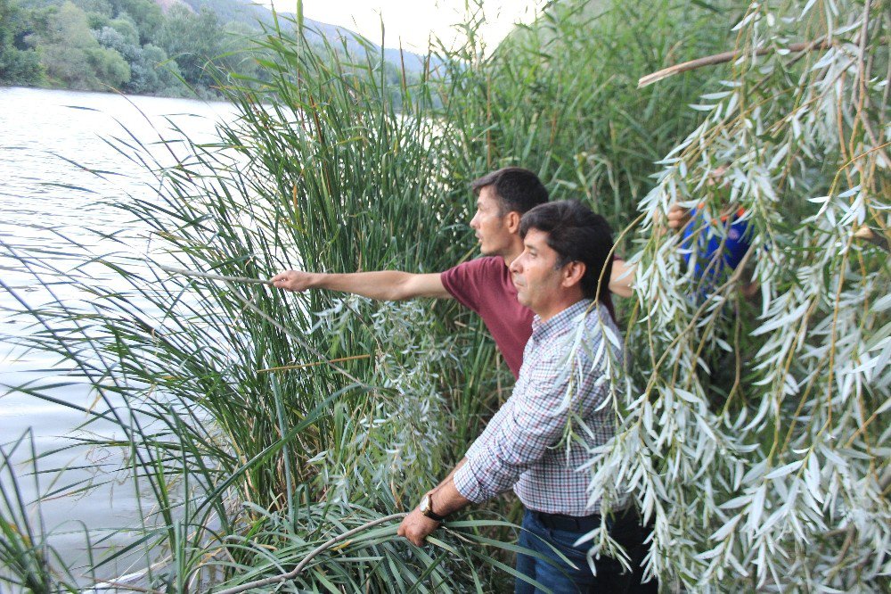 Sakarya Nehri’ne Devrilen Otomobilde Aynı Aileden 3 Kişi Öldü