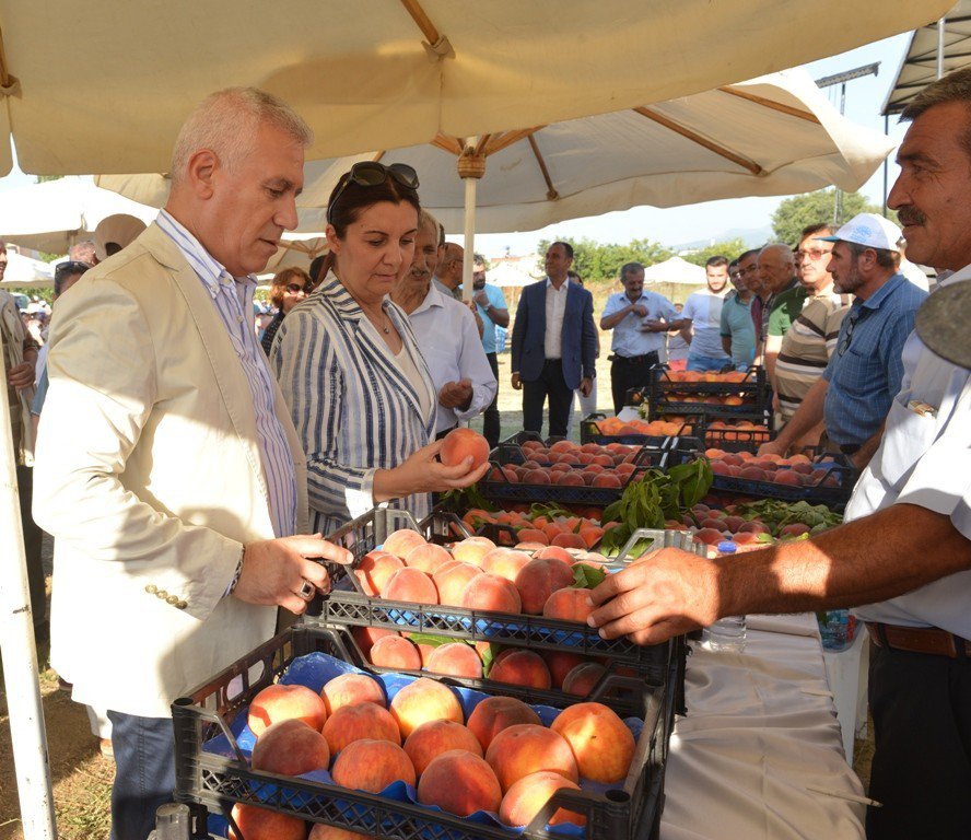 Şeftalinin Kebabını Yaptılar