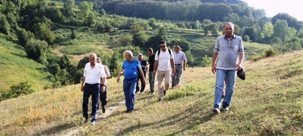 Zonguldak Ormanlarının Gizli Hazineleri Gün Yüzüne Çıkarılıyor