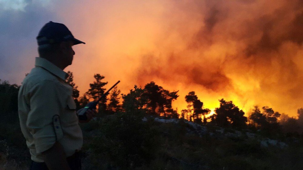 Uşak’ta Bu Yıl Yangınlarda 1,1 Hektar Orman Kül Oldu