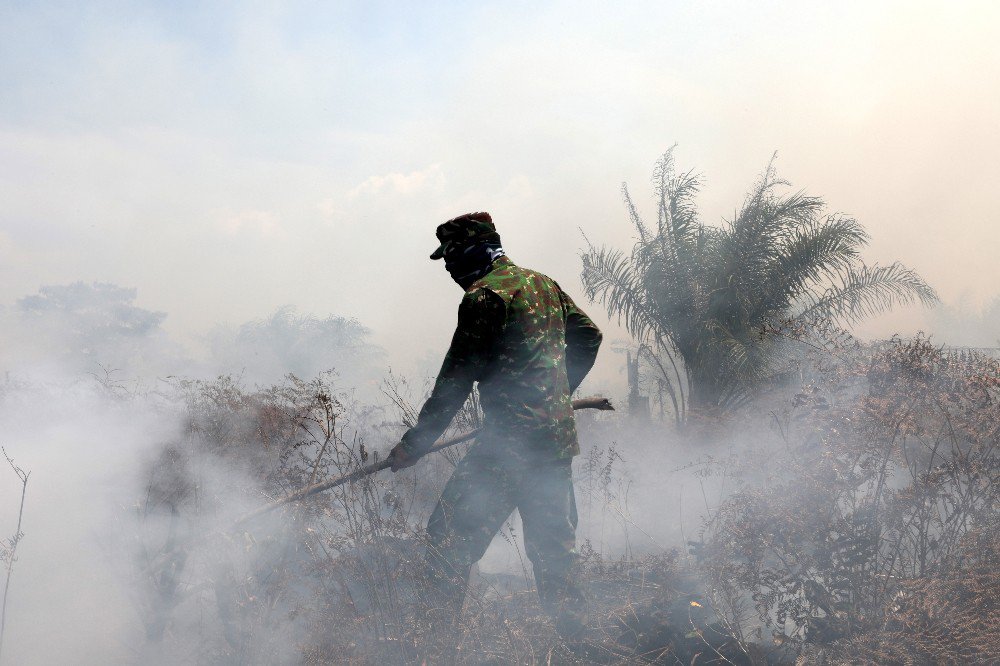 Endonezya’da Orman Yangını