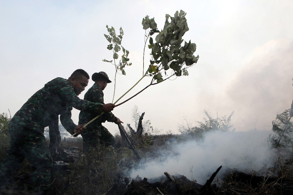 Endonezya’da Orman Yangını