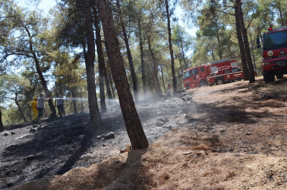 Kırıkhan’da Orman Yangını