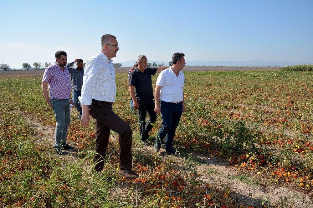 Başkan Özkan Dolunun Vurduğu Ovada İncelemelerde Bulundu