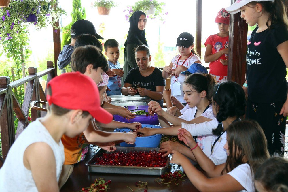 Keçiörenli Çocuklar Yaz Kampında Hem Eğleniyor Hem Öğreniyor