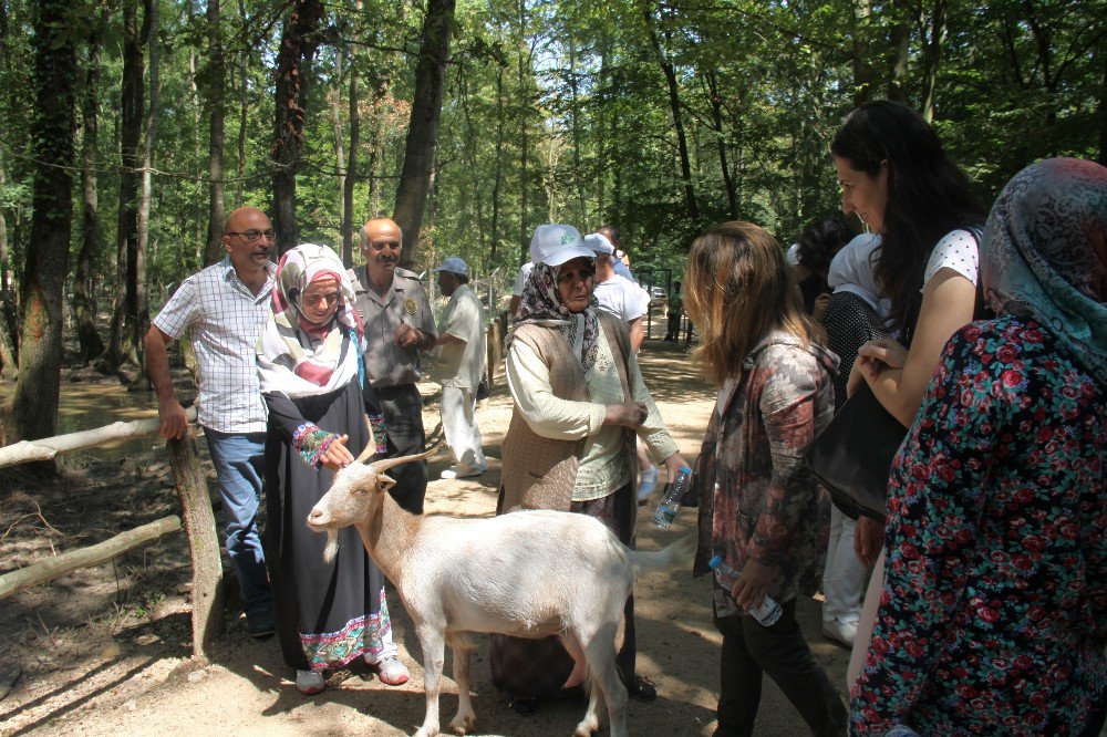 Huzurevi Sakinleri Doğal Yaşam Parkı’nı Gezdi