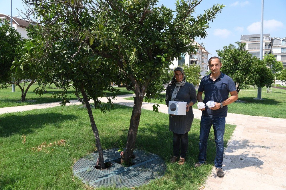 Konyaaltı’nda Parklara Yararlı Böcek