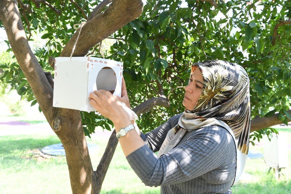 Konyaaltı’nda Parklara Yararlı Böcek