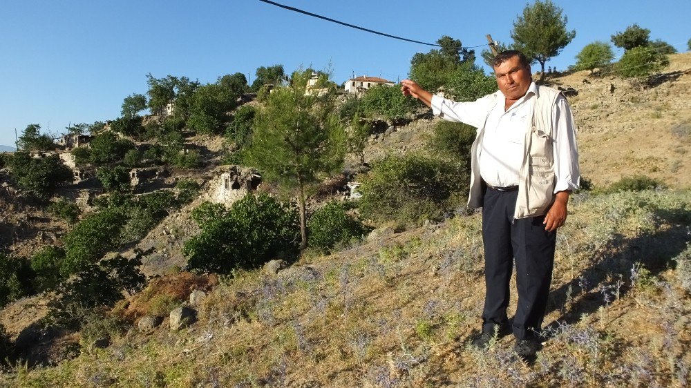 Körfez Manzaralı Çallı Mahallesi Hizmet Bekliyor