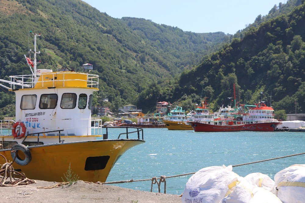 Balıkçılar Gelecek Sezondan Umutsuz