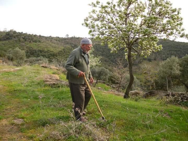 Aydın Bir Çınarını Daha Kaybetti