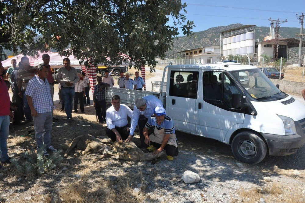 Buharkent’te Tarihi Gün