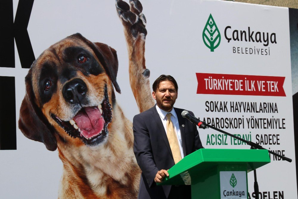 Köpekleri Kısırlaştırmada Yeni Yöntem: Laparoskopi