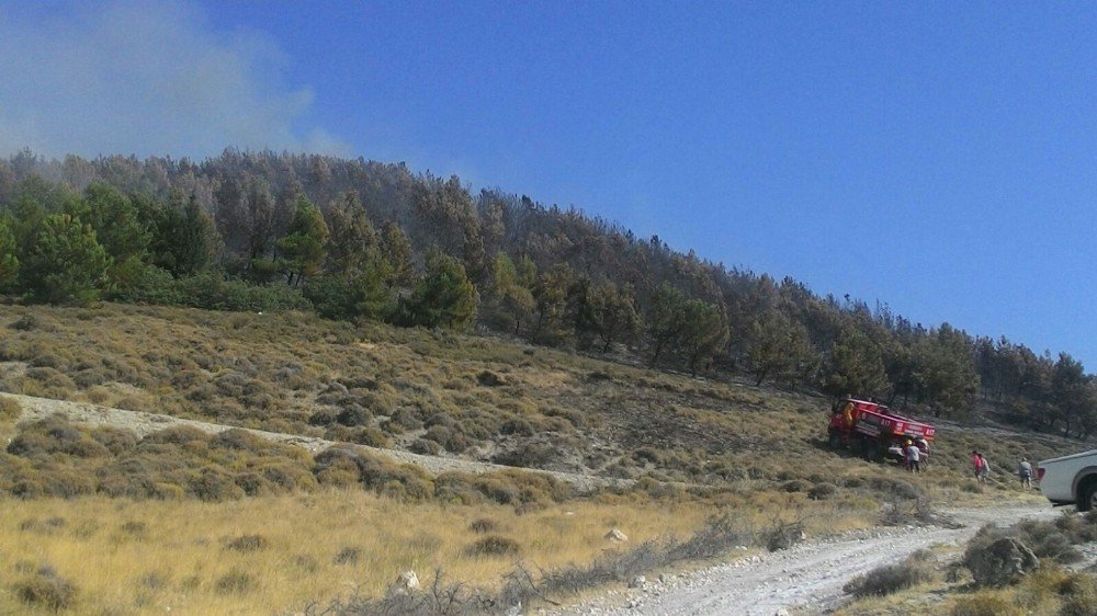 Aliağa’da Orman Yangını