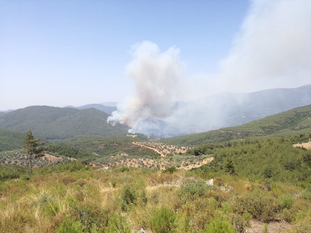 Bayındır’daki Yangın Kısmen Kontrol Altına Alındı