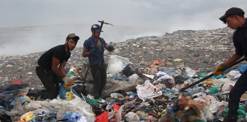 Kars Çöplüğünde Yaşam Mücadelesi