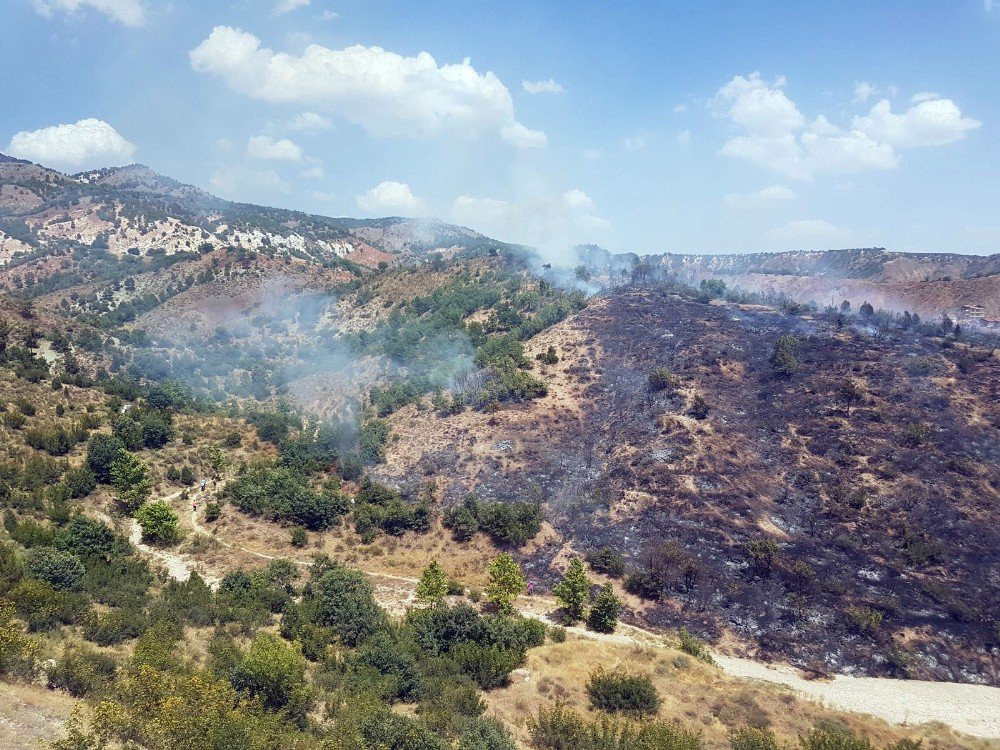 Ankara’da Orman Yangını