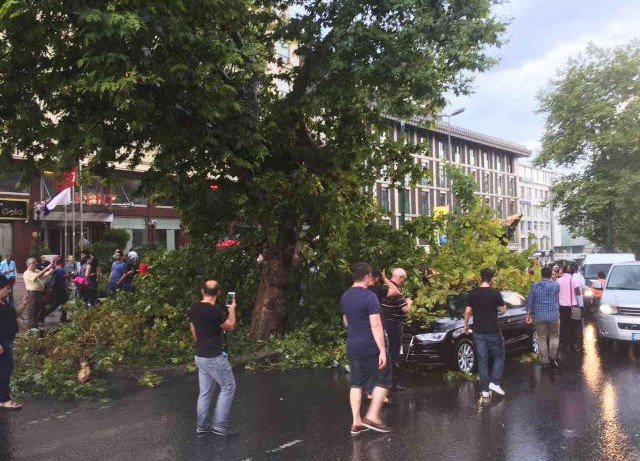 Laleli’de Ağaçlar Araçların Üzerine Devrildi