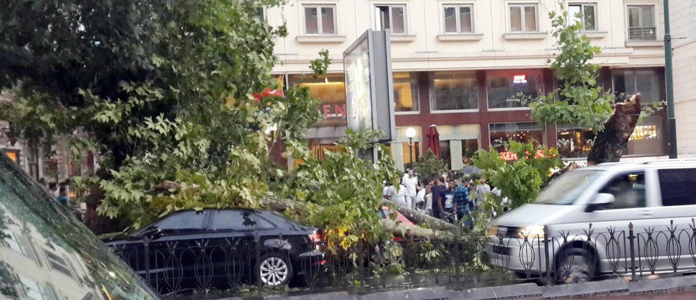 Laleli’de Ağaçlar Araçların Üzerine Devrildi