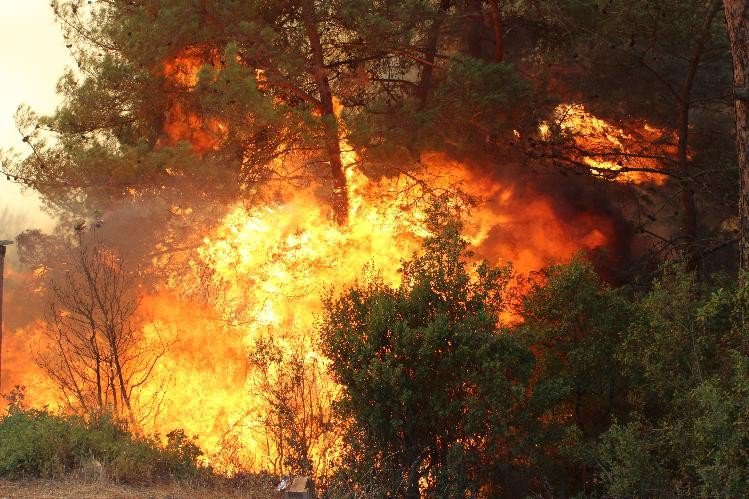 İzmir’deki Yangına Havadan Müdahale Başladı