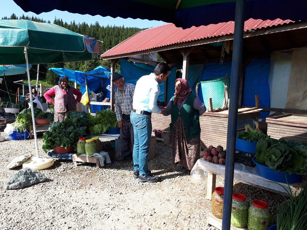 2 Bin Rakımlı Çambaşı Yaylası’nda Organik Pazar