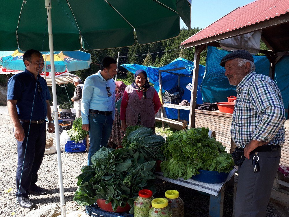 2 Bin Rakımlı Çambaşı Yaylası’nda Organik Pazar