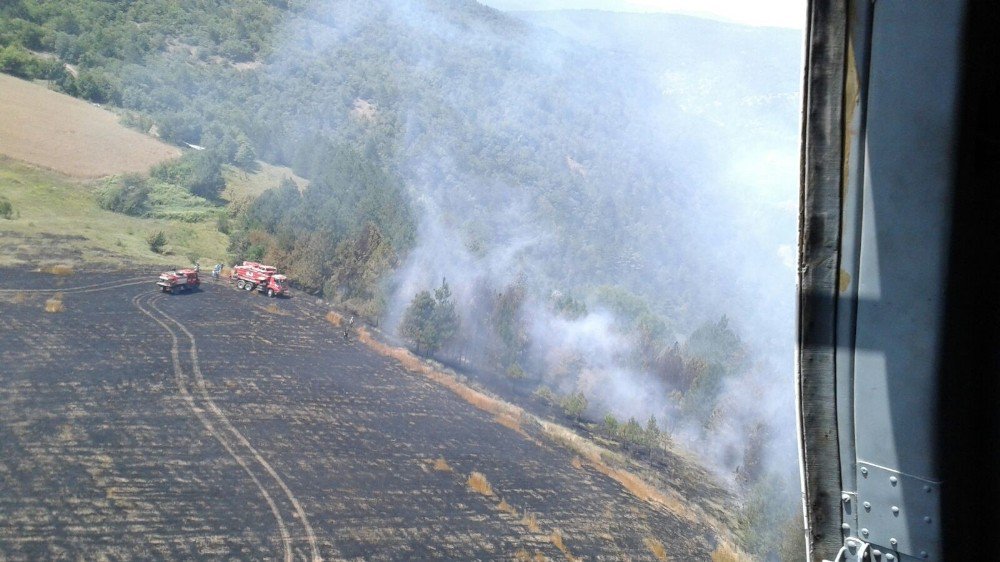 Karabük’te Orman Yangınları