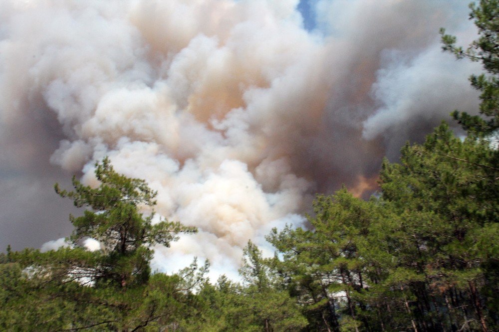 Marmaris’te Orman Yangını: Kontrol Altına Alınamıyor