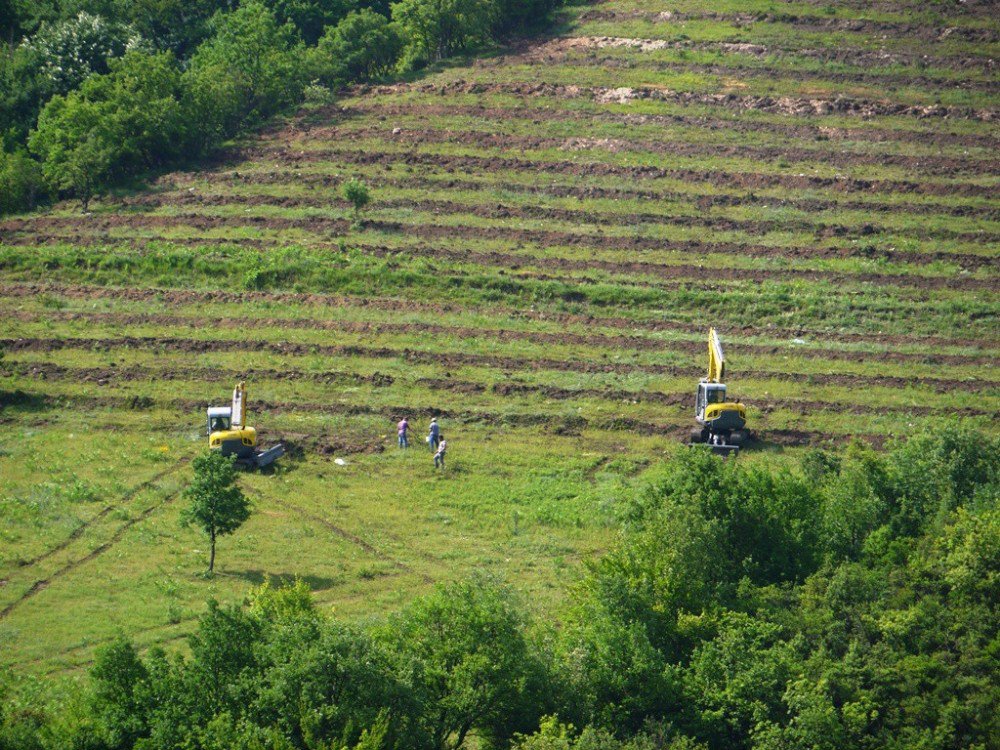 Karabük Ve Zonguldak’ta Bozuk Orman Alanları Ekonomiye Kazandırılıyor