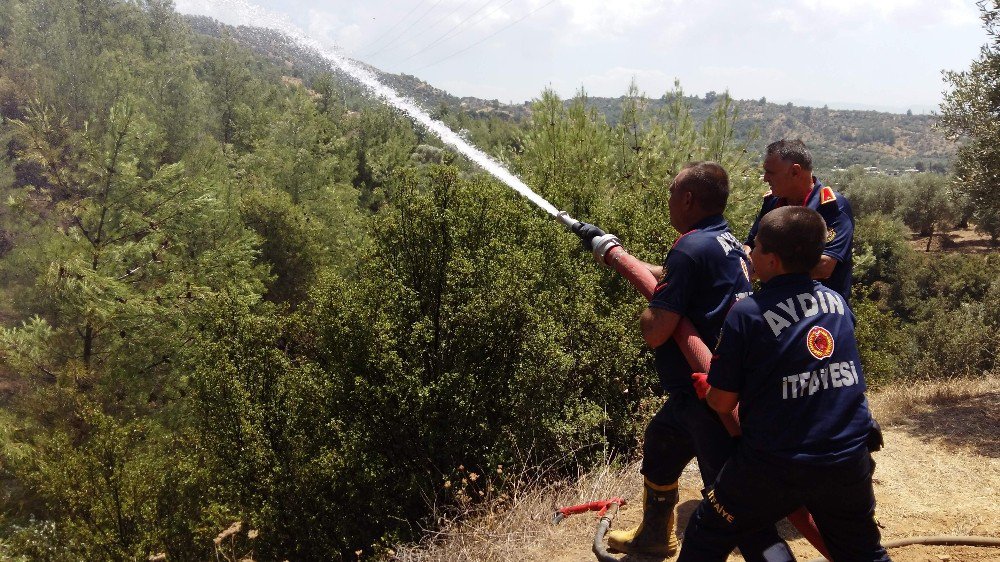 Ormanlık Alanda Başlayan Yangın Tarım Arazilerine Zarar Verdi