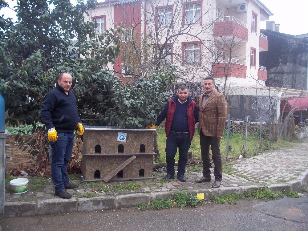 Ortahisar’dan Sokak Hayvanlarına Barınak