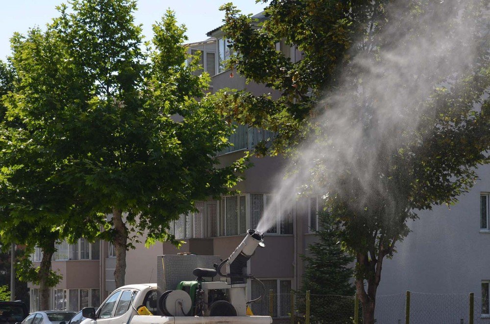 Bafra’da Larva Ve Uçkun İle Mücadele