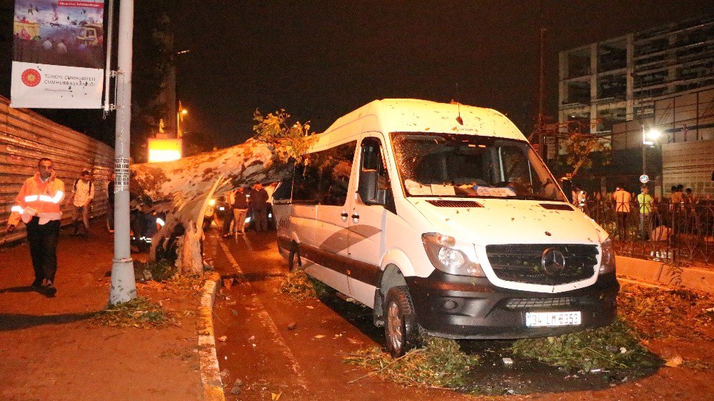 Şiddetli Yağış Dev Ağacı Turistleri Taşıyan Minibüsün Üzerine Devirdi