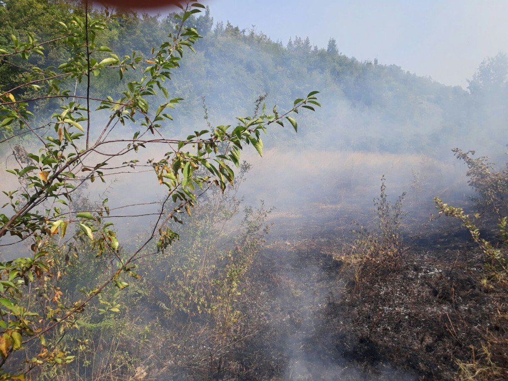 Kastamonu’da Çıkan Anız Yangını, Ormana Sıçramadan Söndürüldü