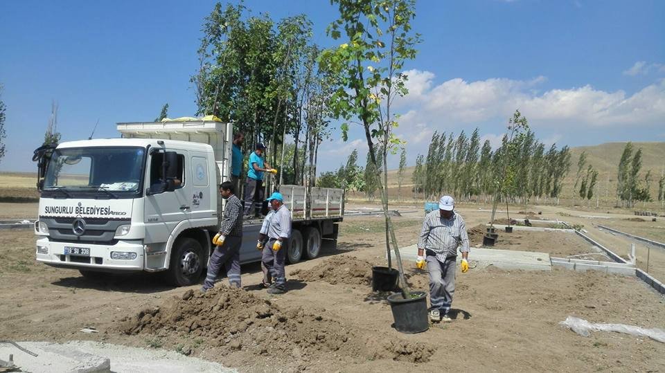 Sungurlu’ya Yeni Mesire Alanı