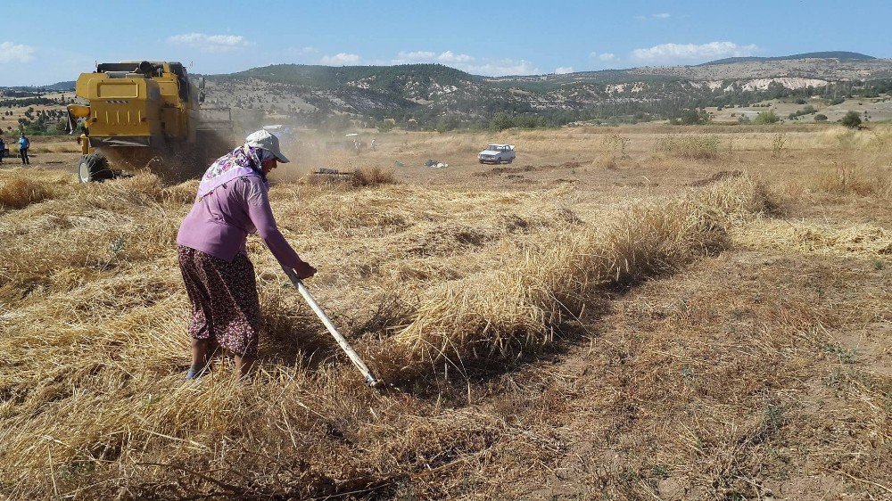 Hisarcık’ta Biçerdöver Denetimi