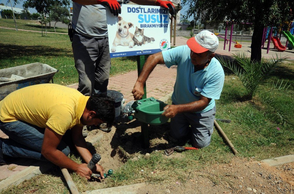 Kepez’in 92 Noktasına Otomatik Su Kabı