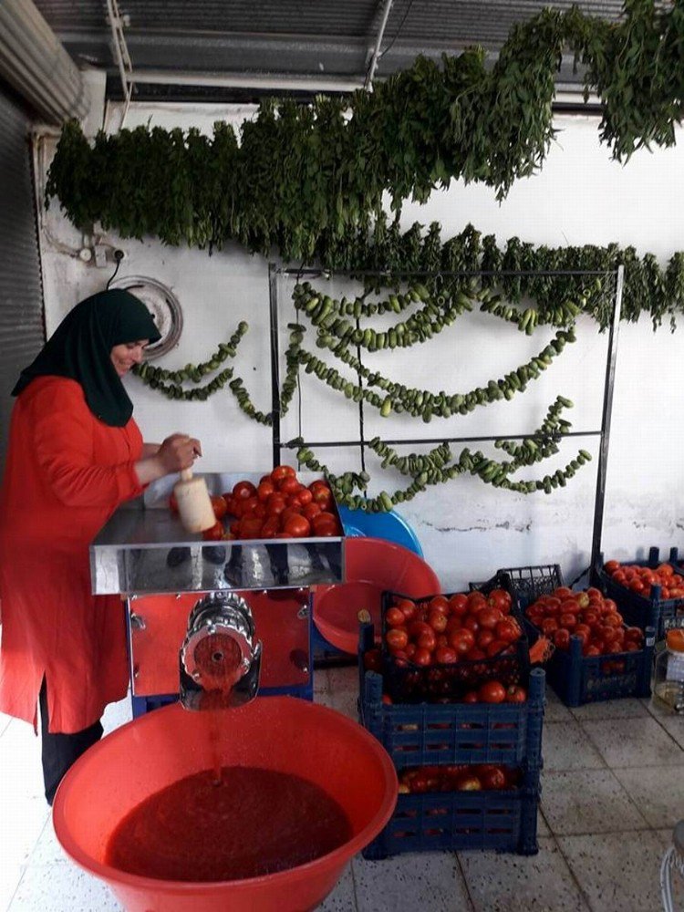 Kilis’te Salça Telaşesi Başladı