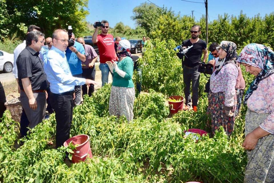 Ak Parti’li Turan Afet Bölgesinde