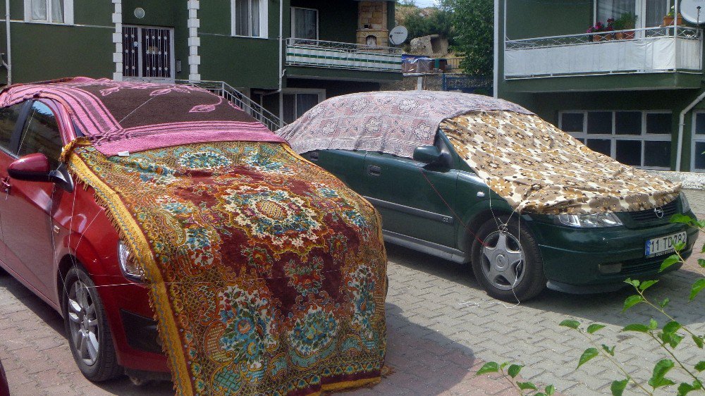 Bilecik’te Vatandaşlarda Dolu Yağışına İlginç Önlem