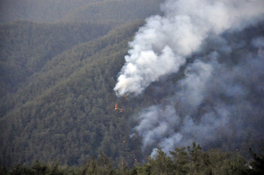 Hatay’da Çıkan Orman Yangını Sürüyor