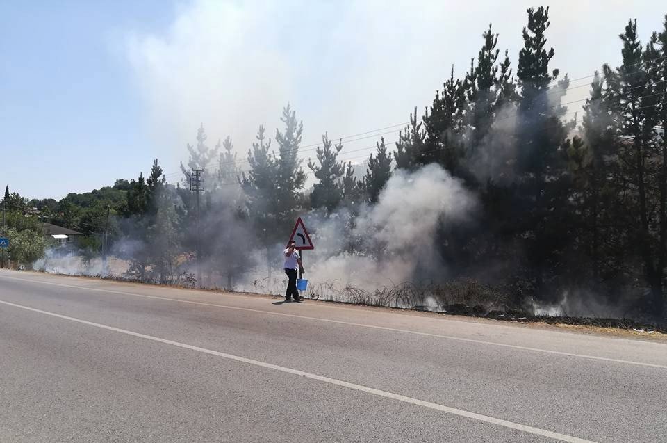 Yol Kenarında Tutuşan Otlar Korkuttu