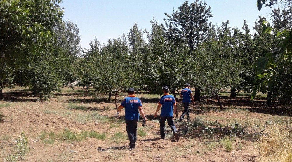 Kaybolan Çocuk 6 Saat Sonra Ormanda Bulundu